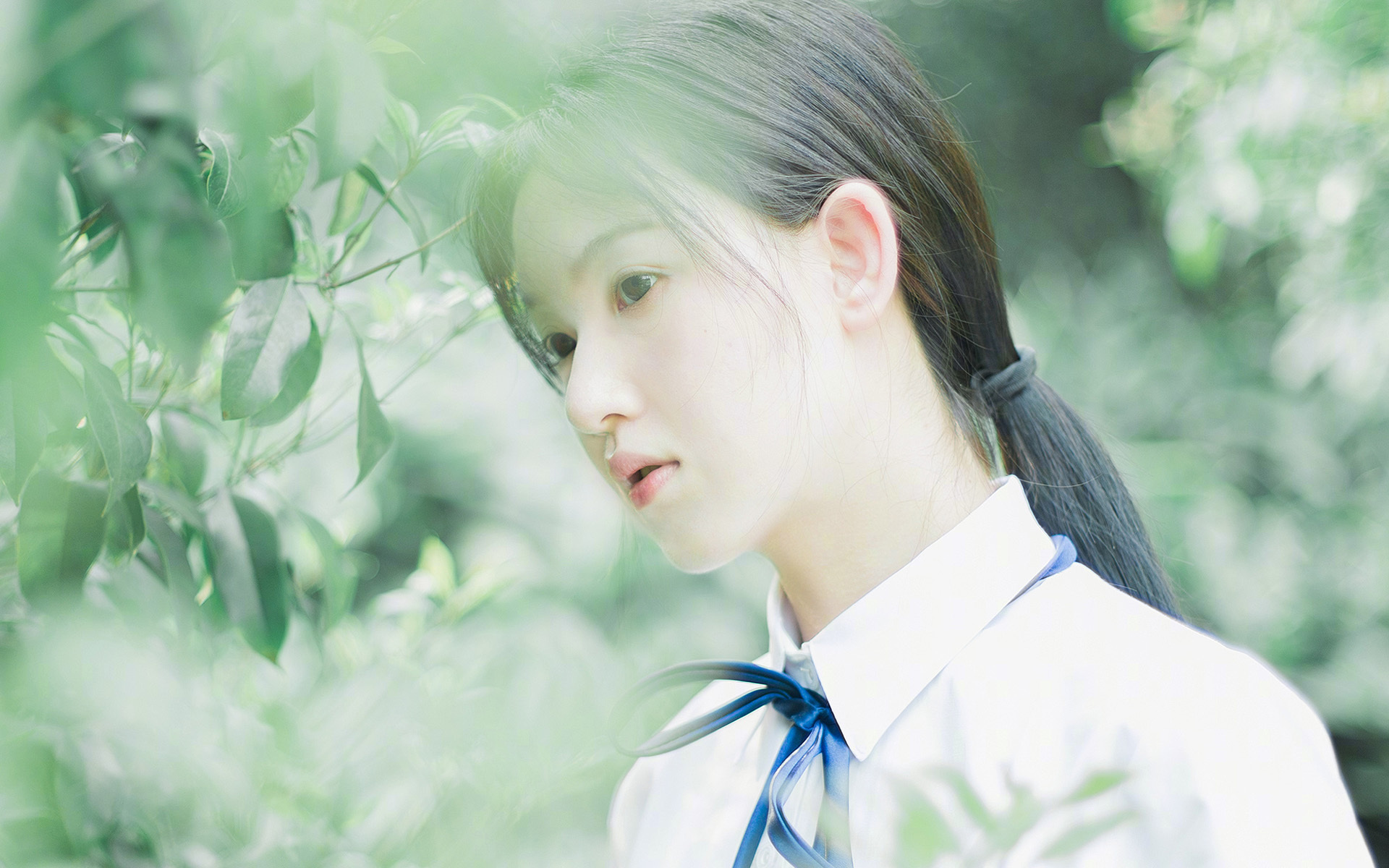 法甲冠军争夺,专家解读战术体系的逐步演变与赛场表现,法甲 水平