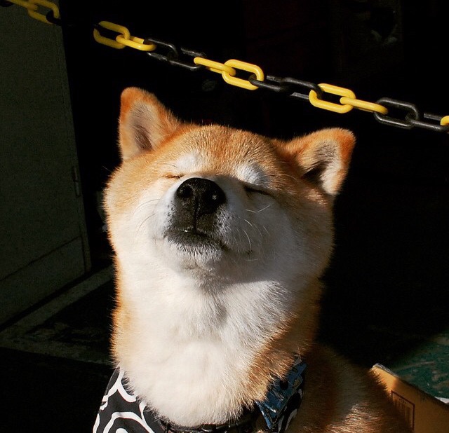 九游（jiuyou.com）游戏-王者荣耀 赛事运营升级助力发展，王者荣耀赛事战令