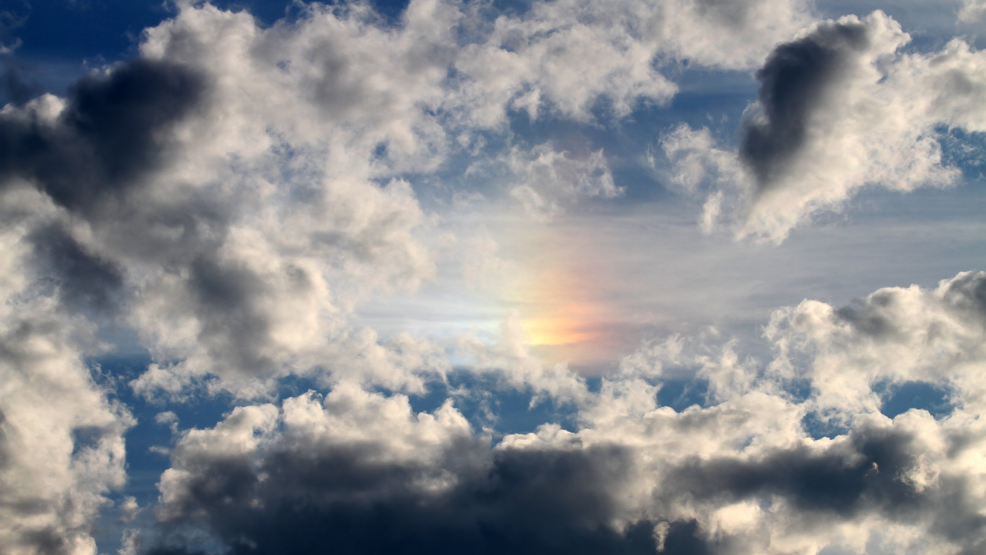 九游登录入口-球员荣耀：那些创纪录的超级表现，荣耀冠军 球员 进阶攻略