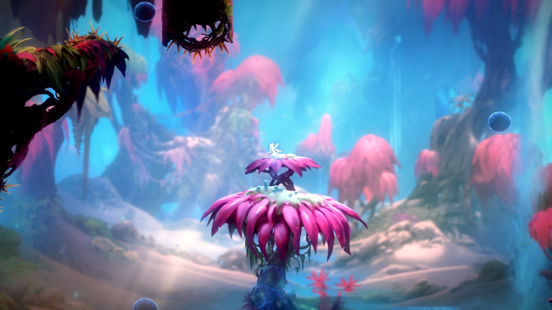 电竞选手职业化道路:训练、比赛与商业价值,电竞职业选手一般是干什么的