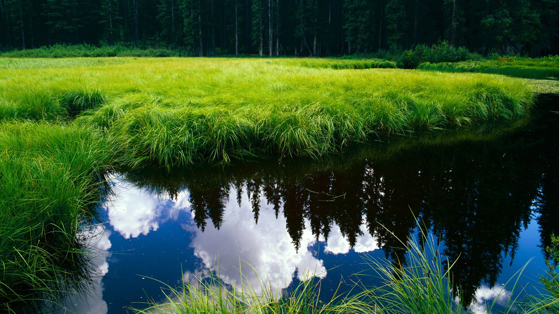 电子竞技的科技学研究：技术创新与应用前景，电子竞技领域