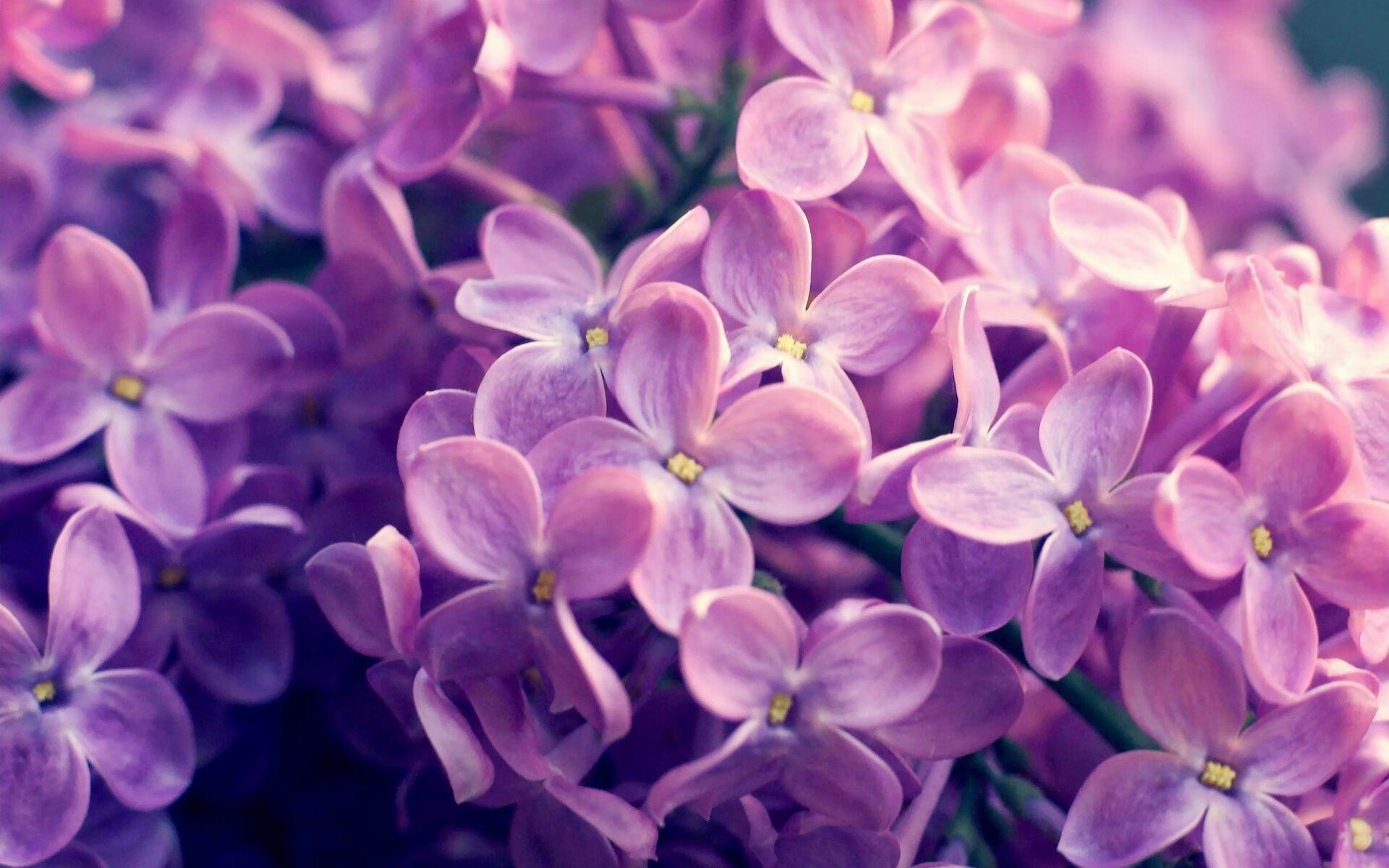 JIU YOU GAME-EDG发布“选手生涯规划指导手册”