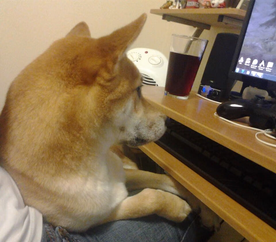 LPL赛事奖金刷新纪录,lpl比赛奖金