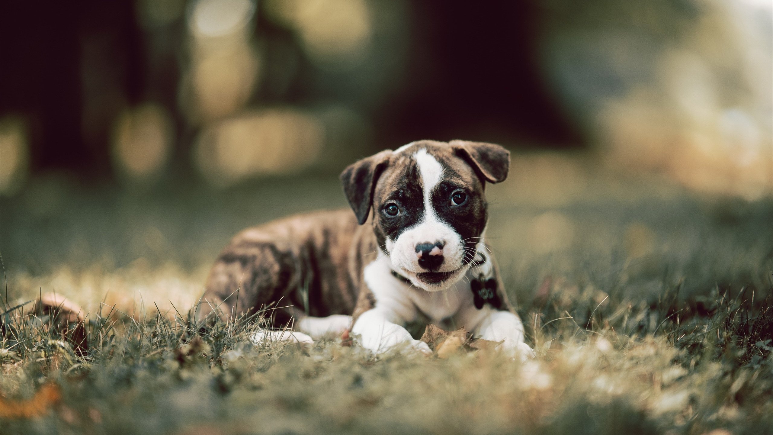 九游官网下载电脑版-原州东浦新世代防守体系不断完善