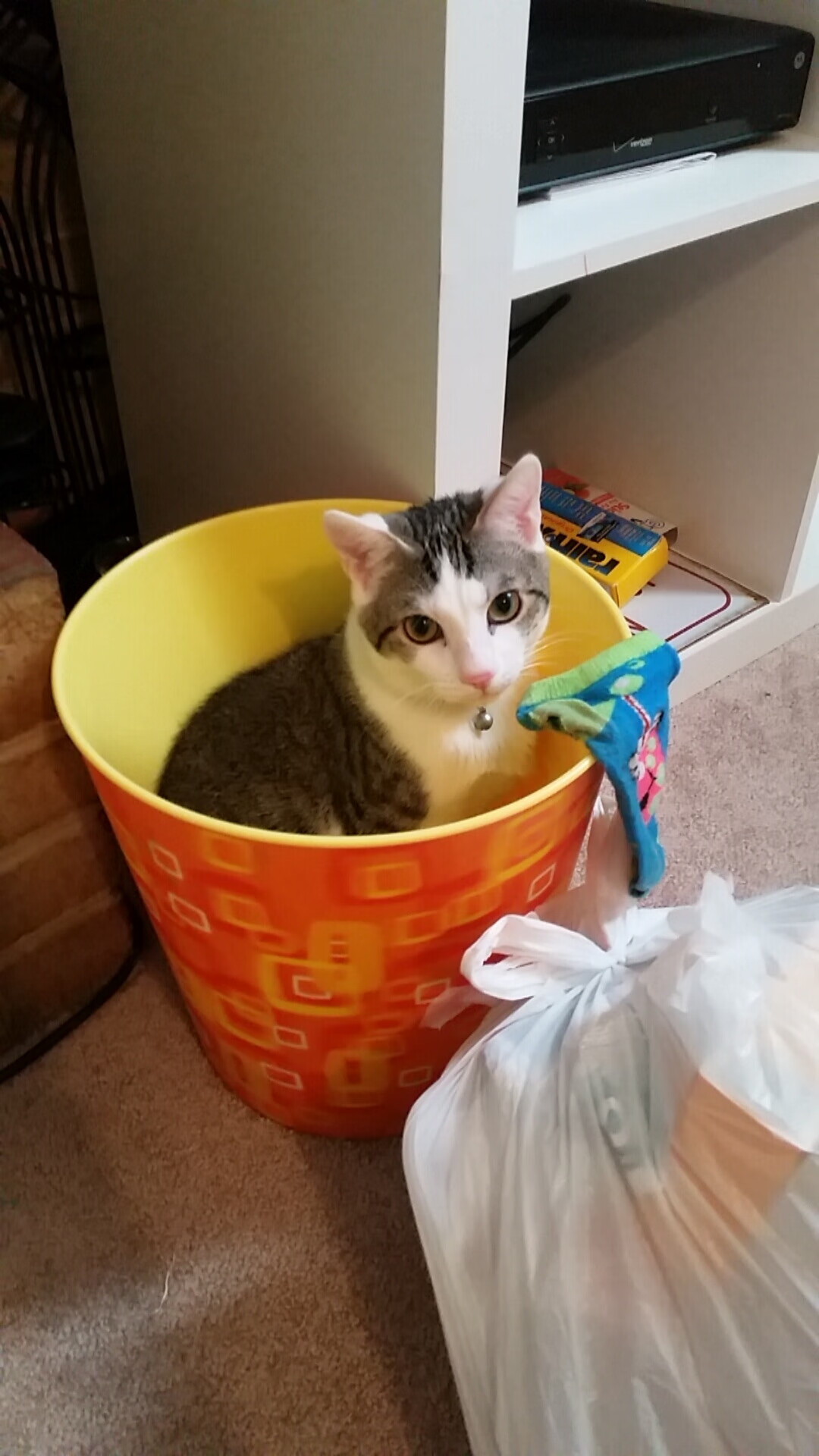 九游游戏中心-埃弗顿击败费耶诺德保持英超前十位置，埃弗顿效力过的球星