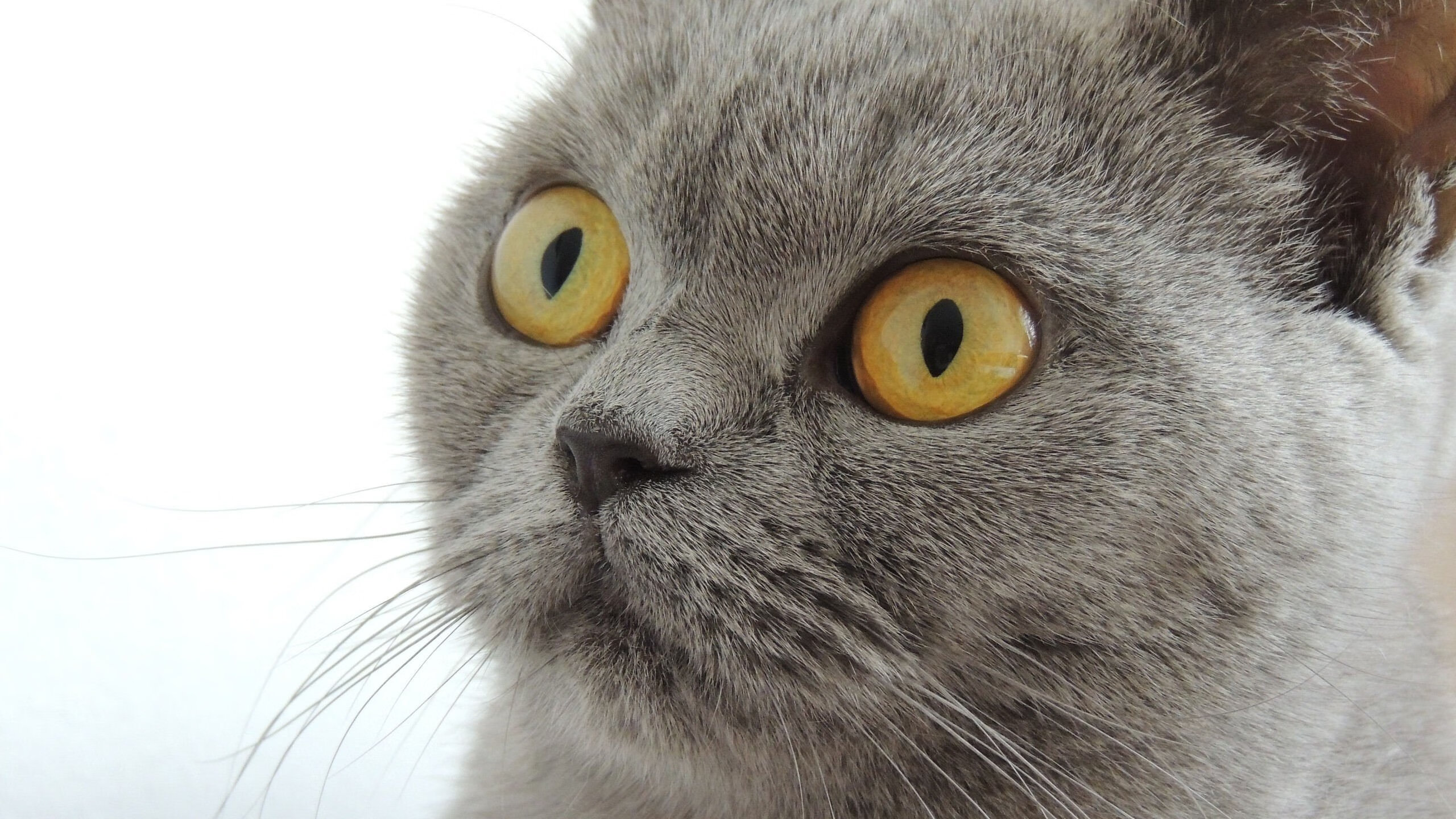 格拉纳达客场平局，保持稳定在中上游位置，格拉纳达俱乐部