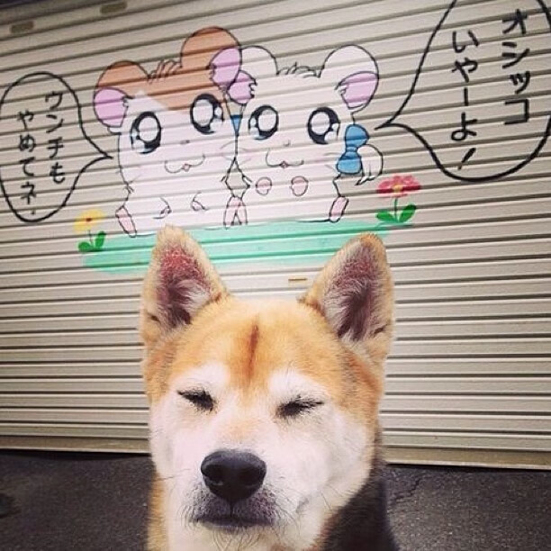 九游网页版官网入口-精彩对局！球队们将为晋级艰难拼搏，球队获胜