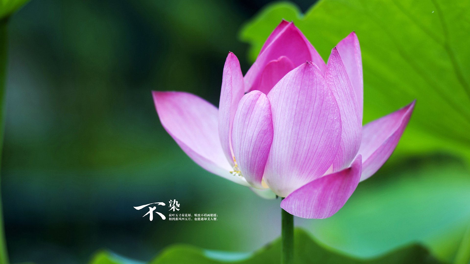 九游（jiuyou.com）游戏-职业篮球运动员生活管理规范，职业篮球运动员的运动寿命