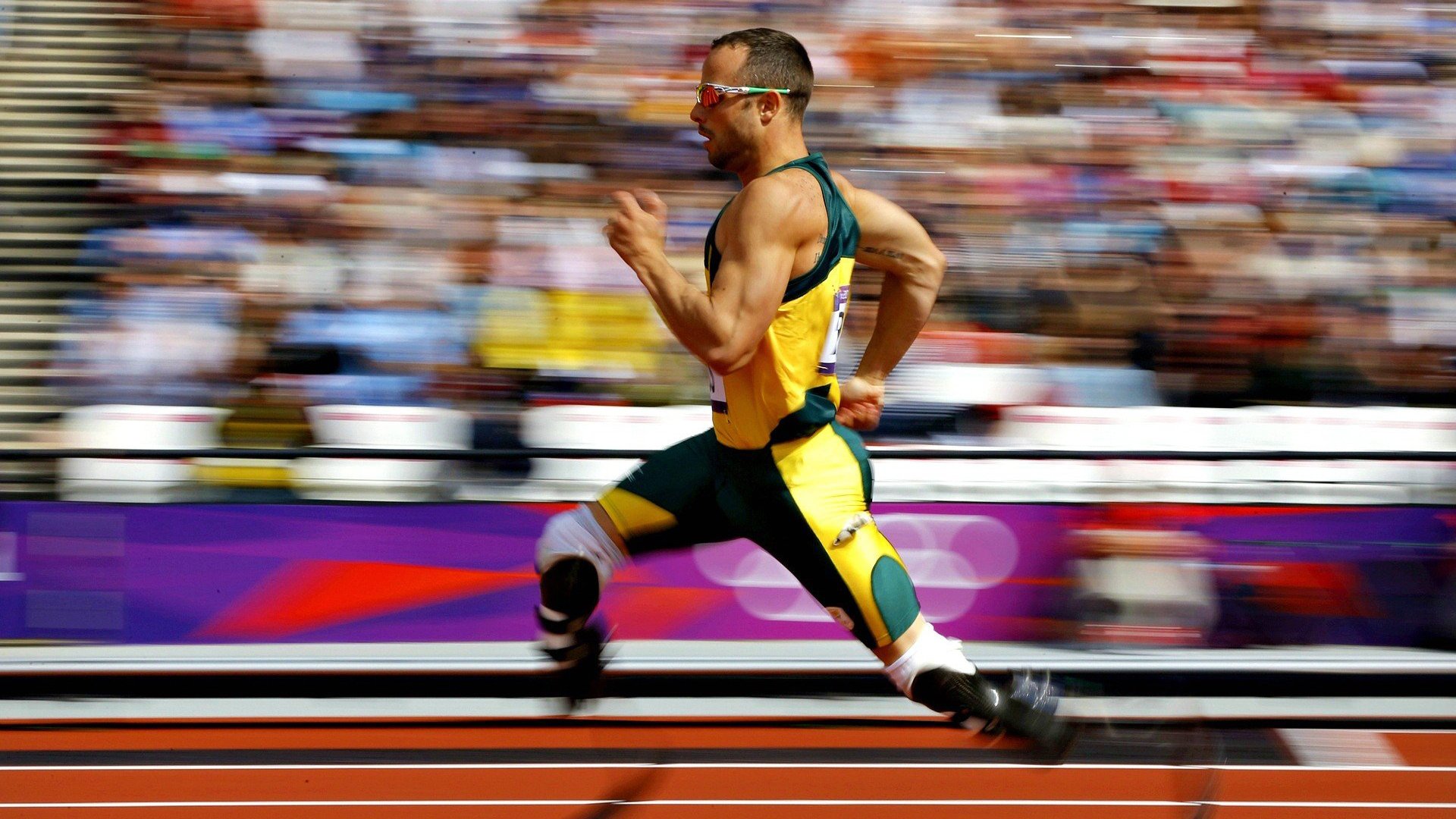 德国马术协会与美洲马术协会合作,举办国际马术交流活动,促进文化互鉴。