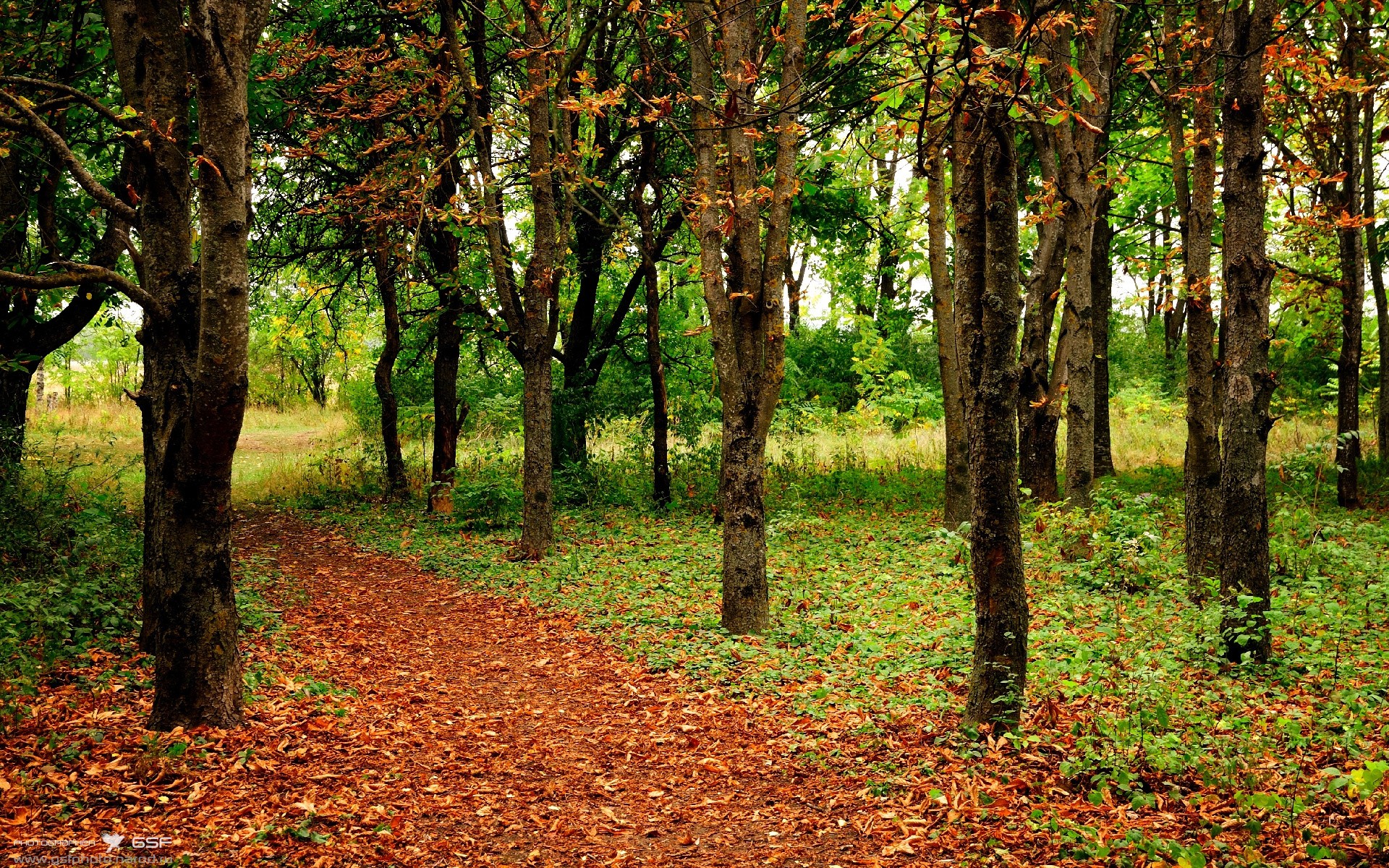 塞内加尔首夺冬奥足球铜牌,创造非洲历史