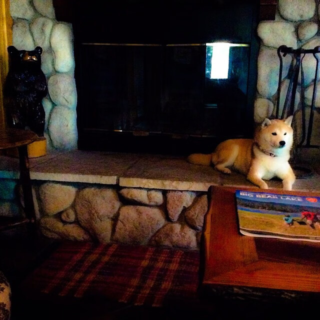 九游9游-国足传球节奏与失误分布关系，足球传球出现的错误