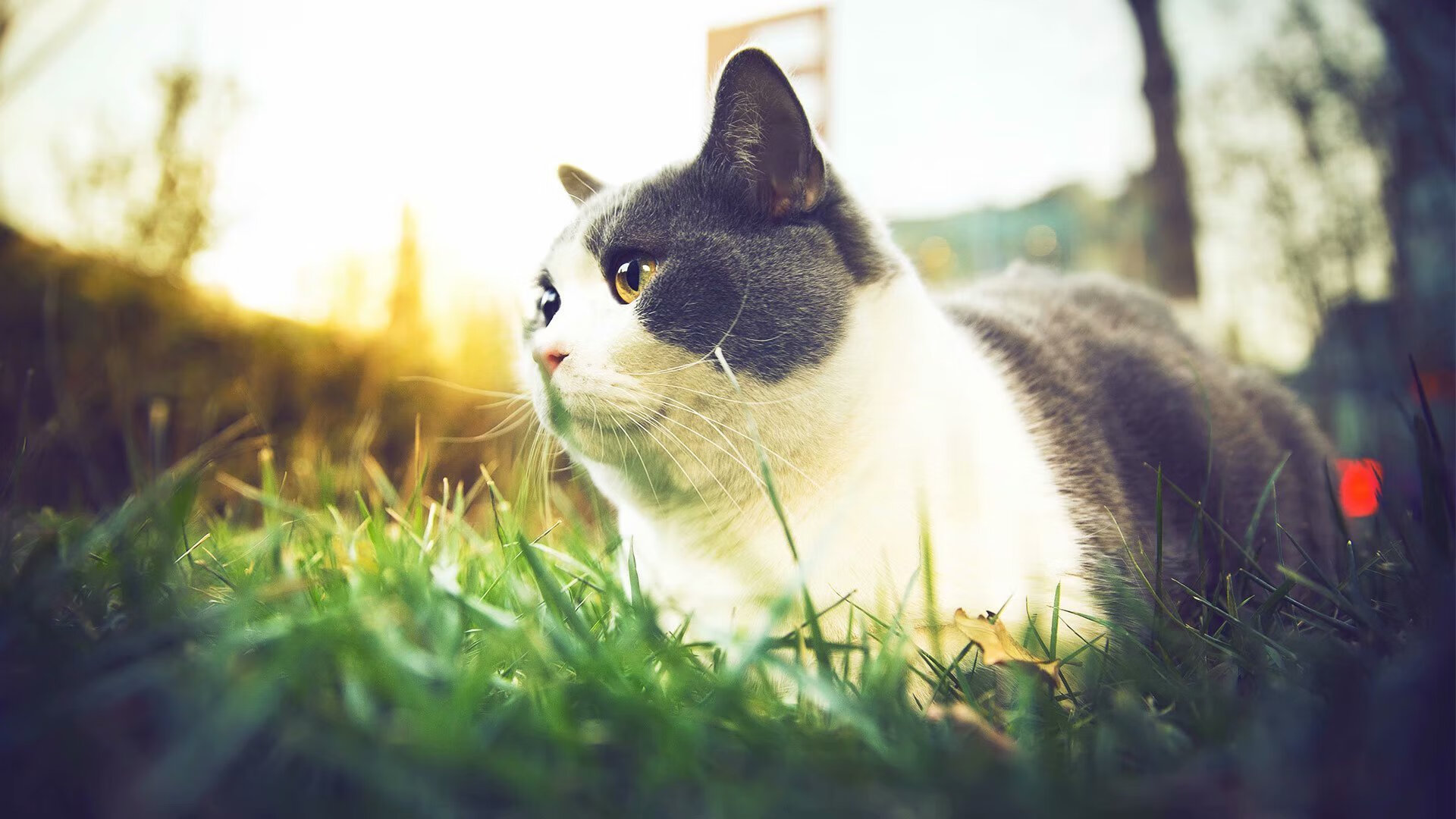 国足传球节奏与失误分布关系,足球传球出现的错误