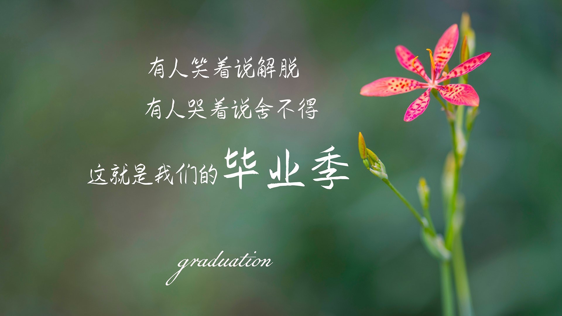 篮球运动员训练计划科学制定与实施效果评估,篮球运动员运动素质训练方案设计