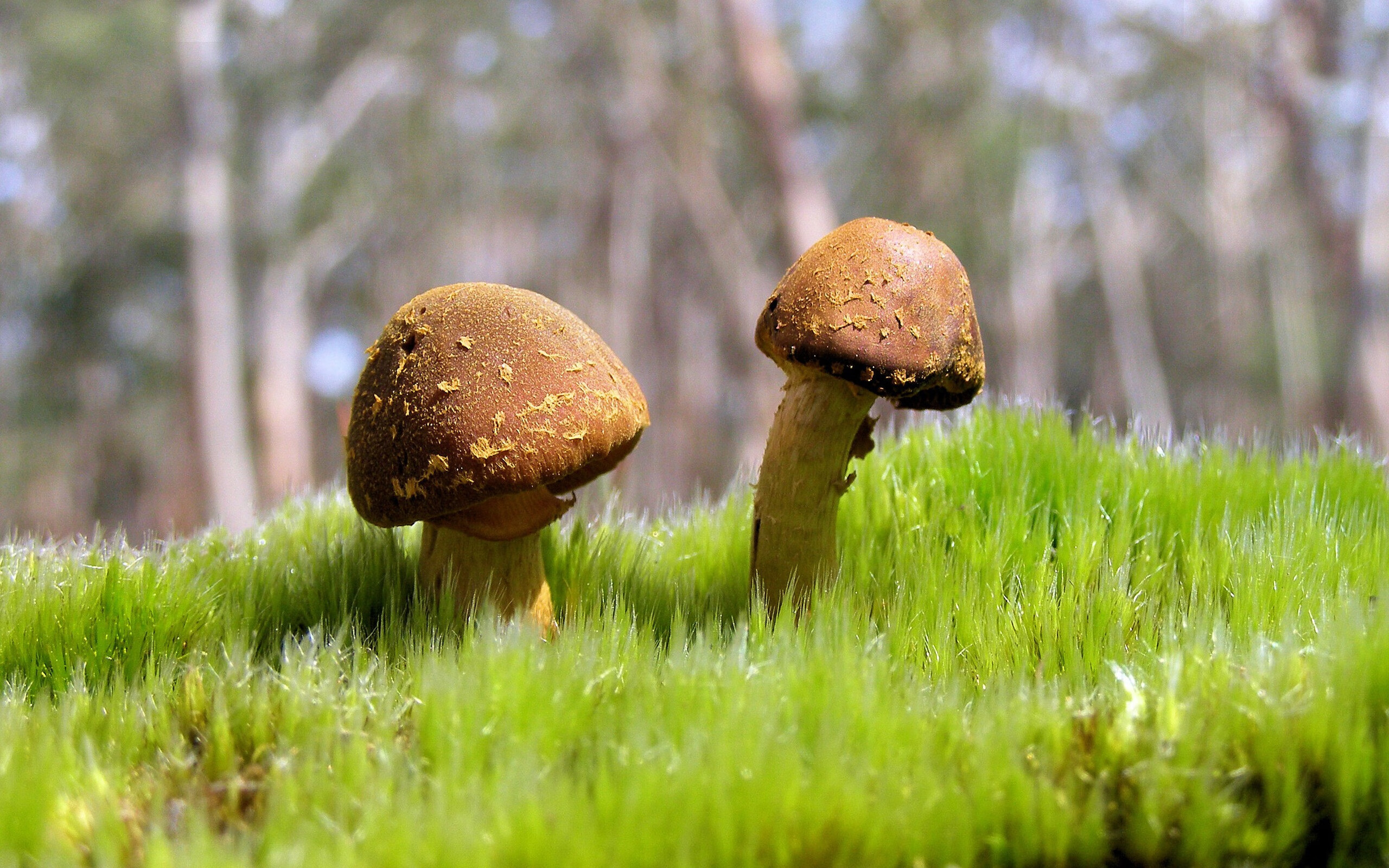 CBA联盟鼓励俱乐部探索多元运营模式,cba联赛运营组织机制的最新变化