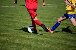 九游网页版官网-“拳王争霸：四川省体育馆拳击赛将诞生新的世界拳王”