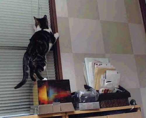 九游下载安装-体育新闻中心上线体育纪录片数字播控系统，数字体育频道