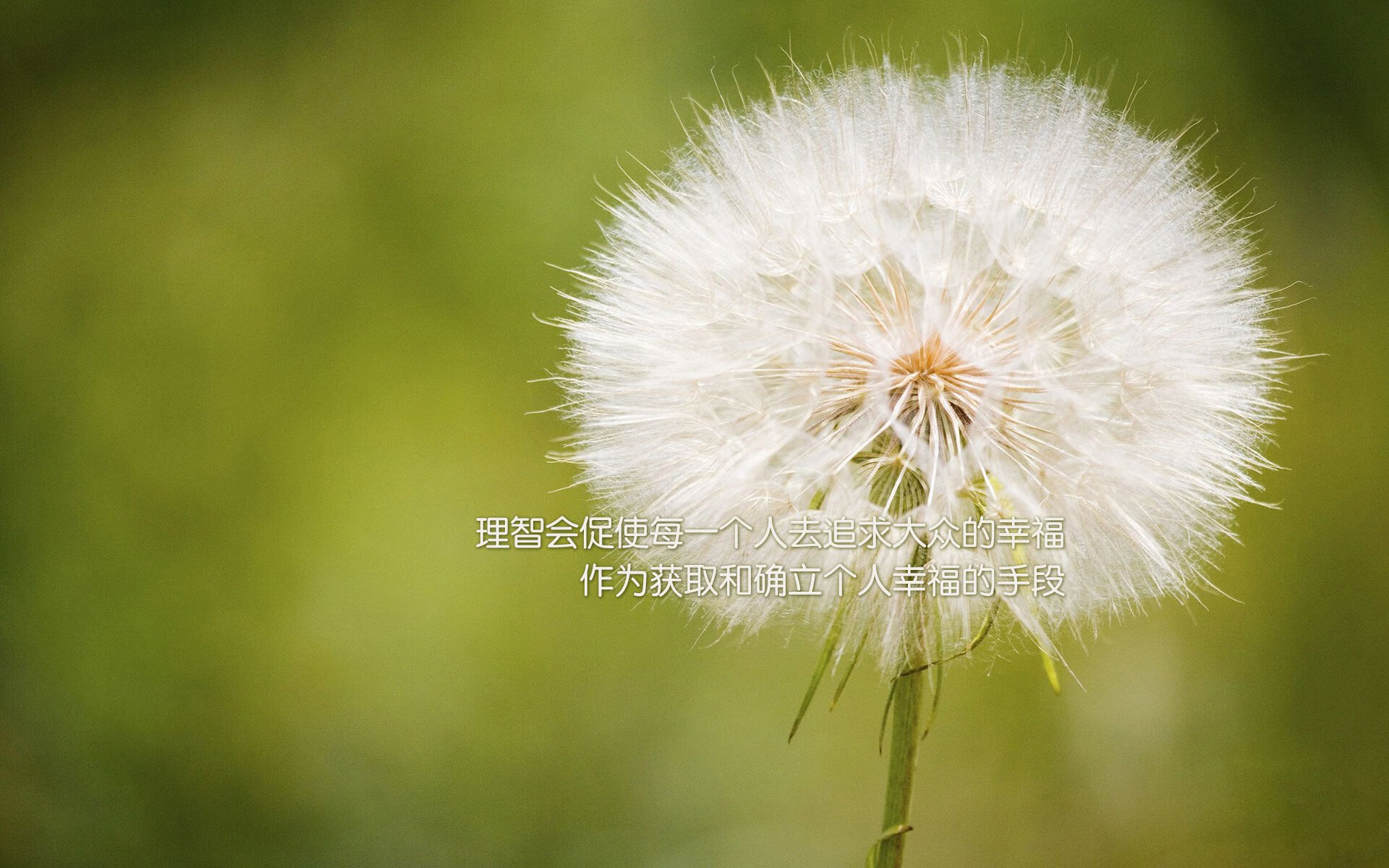 体育新闻中心发布体育内容创作者激励政策细则，体育新闻作品