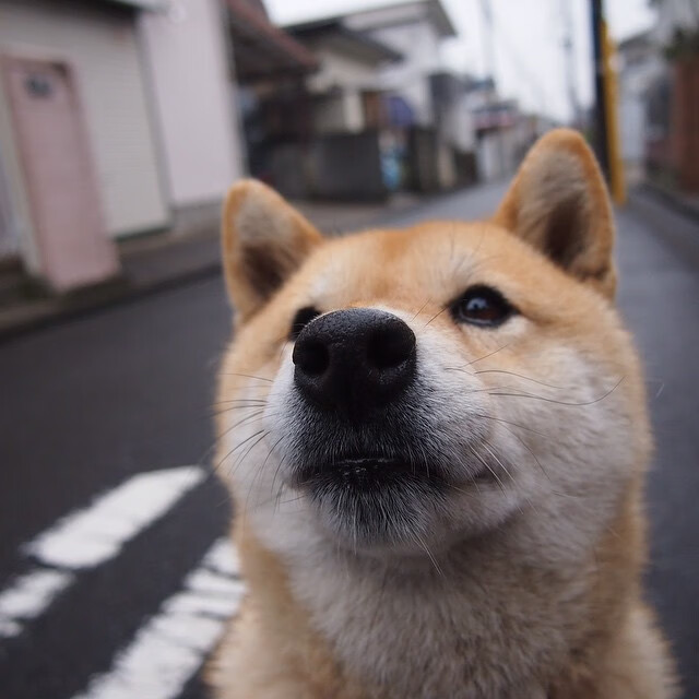 塞尔塔加强控球保持比赛主动,塞尔塔新球场