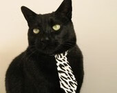 波兰队赛制分析:如何在团体赛制中应对压力与挑战,波兰队战绩