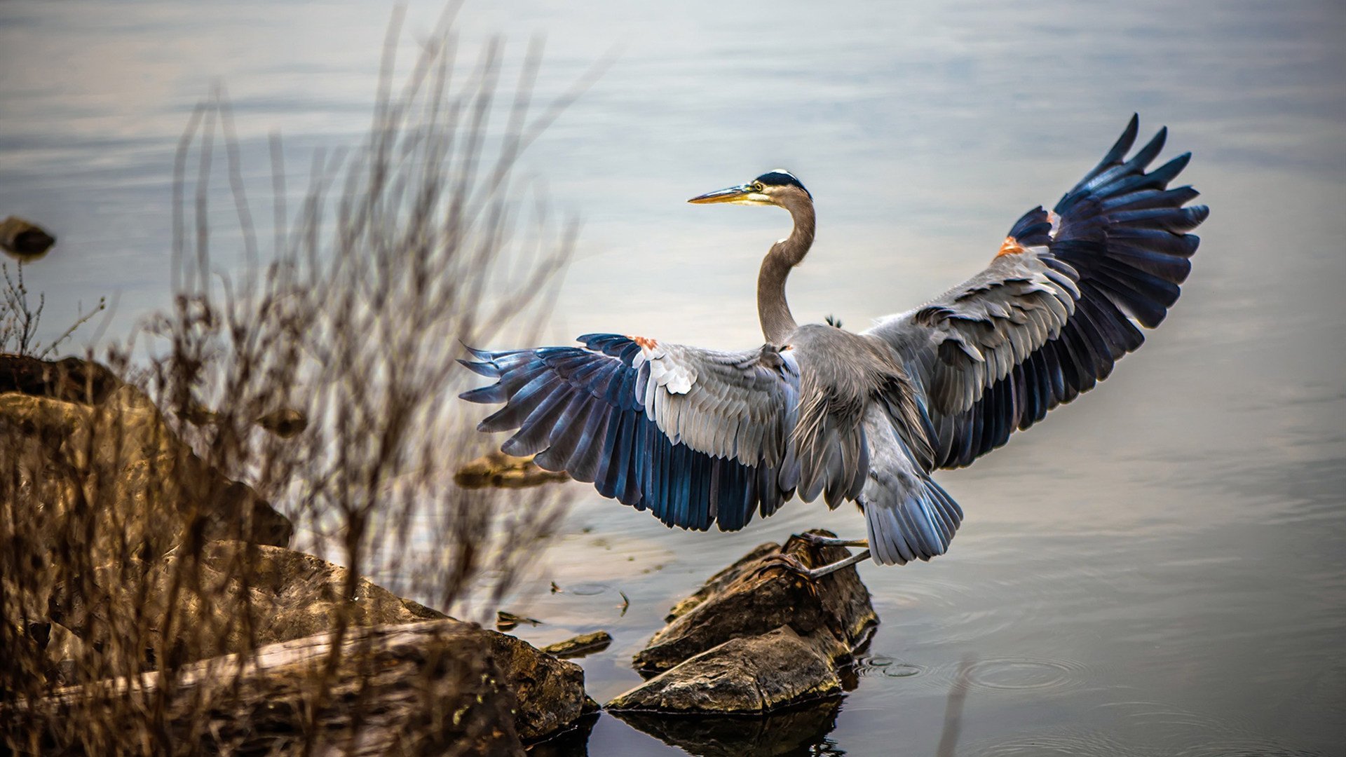 节奏变化是否是球员成长中的关键阶段,节奏运球的训练方法