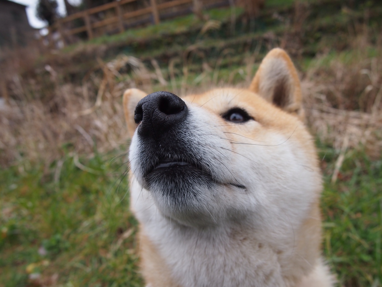九游下载安装-中国足球联赛赛事直播观众互动体验提升，中国足球网络直播