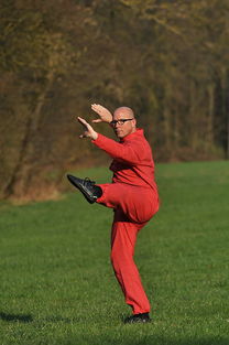 Jiuyou-凯尔特人新秀获得老将亲自传授比赛技巧，凯尔特人 新秀