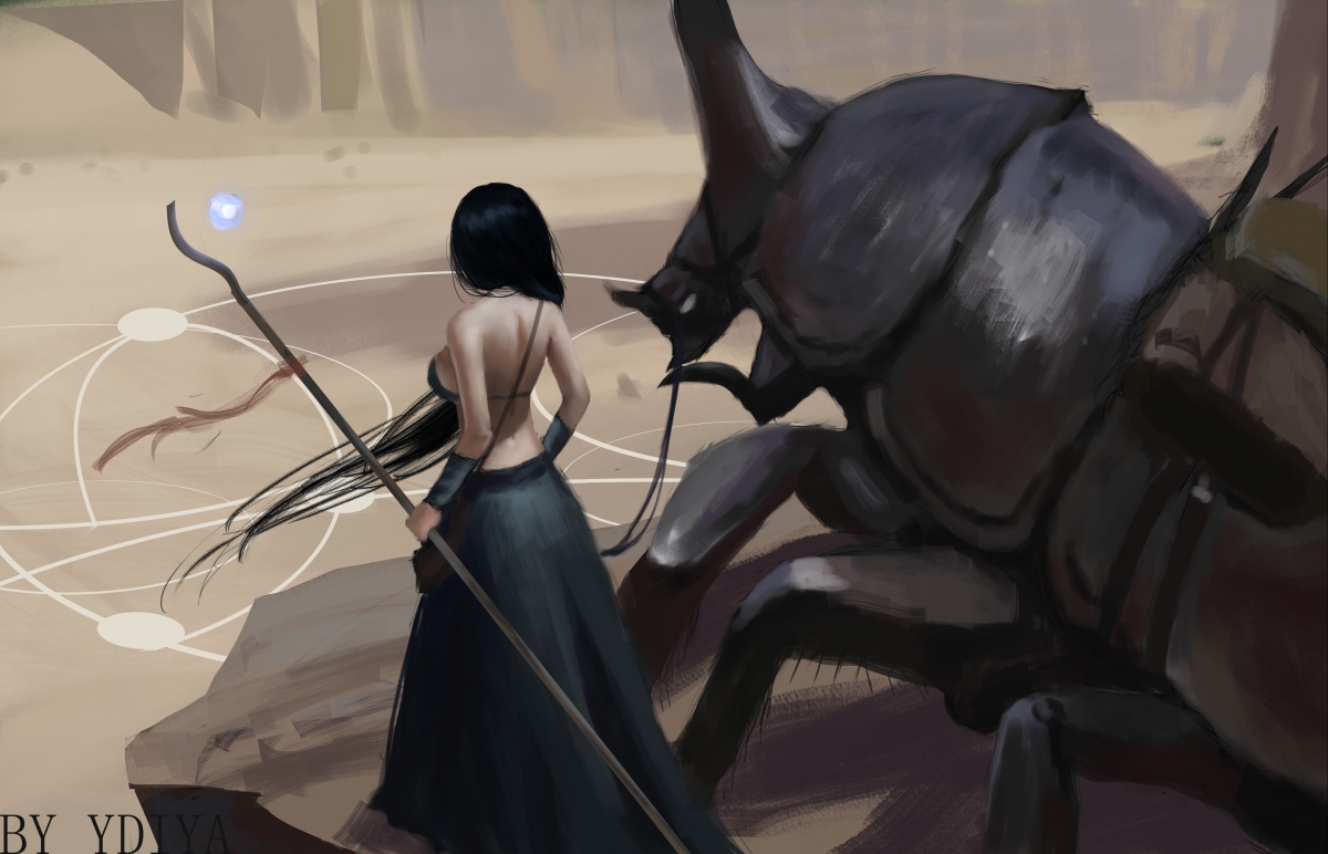 张伟丽接受央视专访谈未来目标,张伟丽再度发声