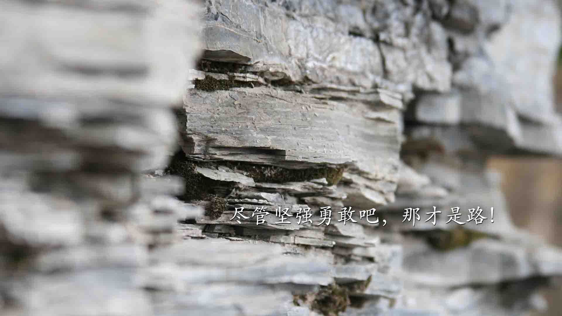 九游网页版官网-马其顿女篮在欧洲锦标赛中夺得佳绩，未来可期